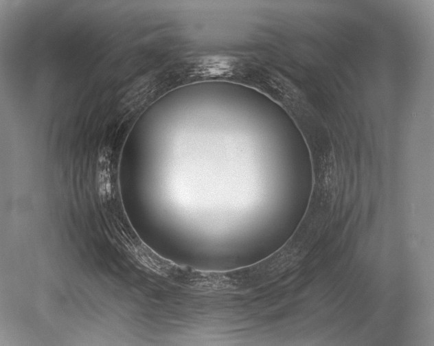 X0000080781442200612151417