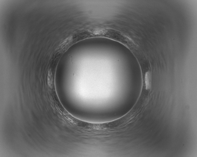 X0000080781443200612151417