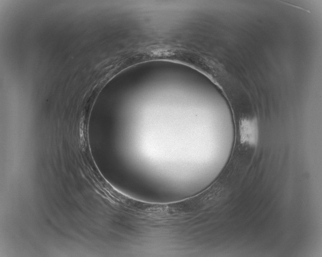 X0000080781444200612151417
