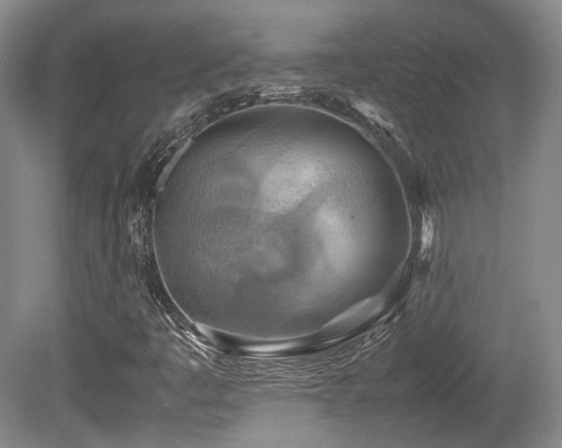 X0000080781445200612151417