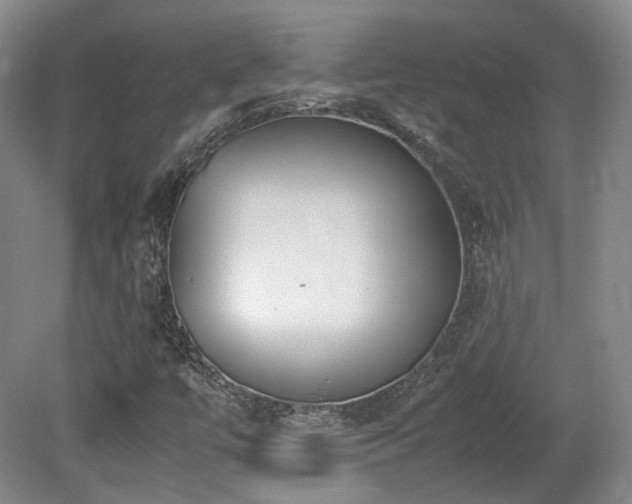 X0000080781447200612151416
