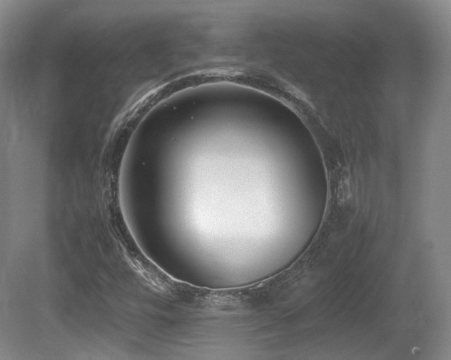 X0000080781448200612151416