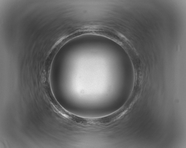 X0000080781449200612151416
