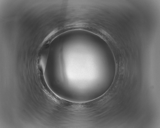 X0000080781450200612151416