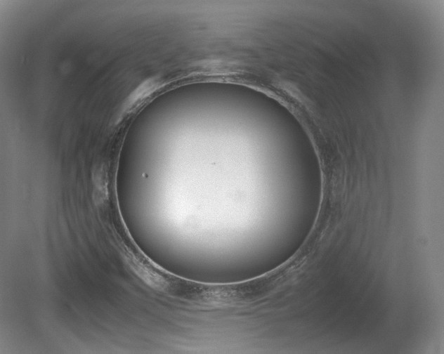 X0000080781451200612151416