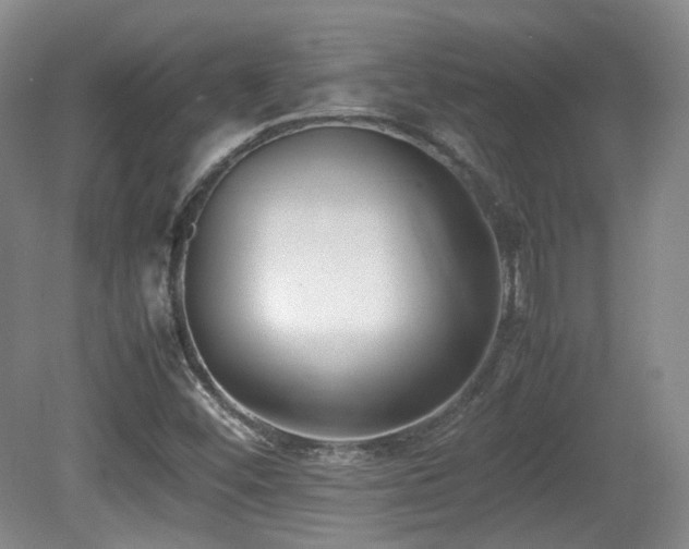 X0000080781452200612151416