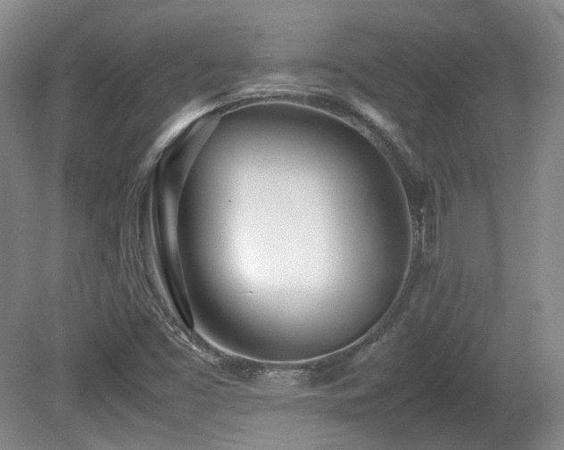X0000080781453200612151416