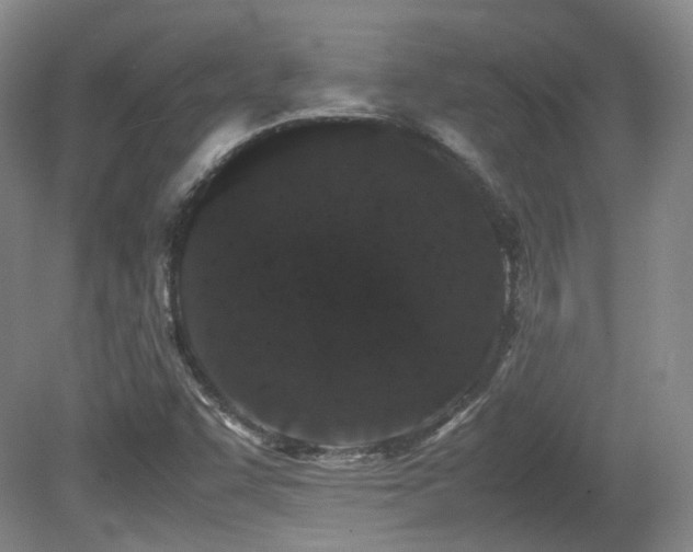 X0000080781455200612151416