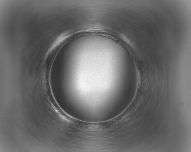 X0000080781456200612151416