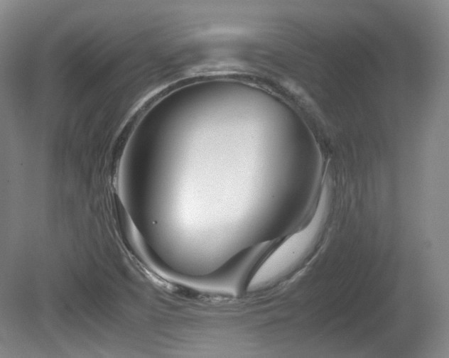 X0000080781457200612151416