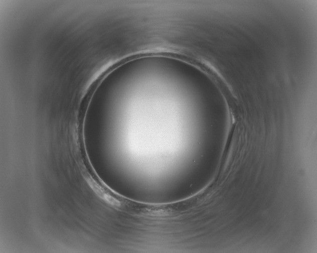 X0000080781460200612151416