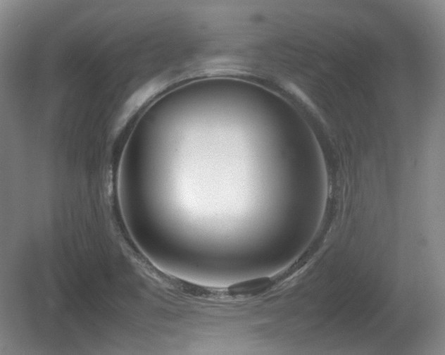 X0000080781461200612151416