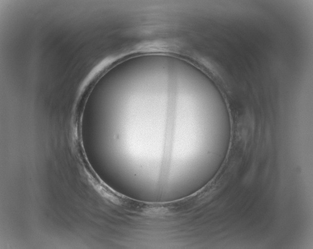 X0000080781462200612151416