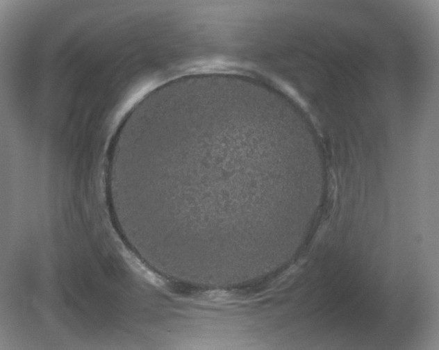 X0000080781463200612151416
