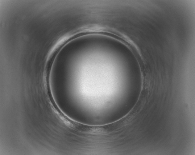 X0000080781464200612151416