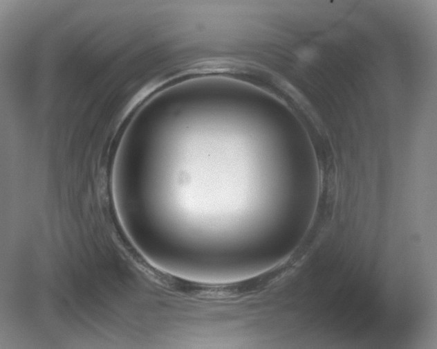X0000080781465200612151416