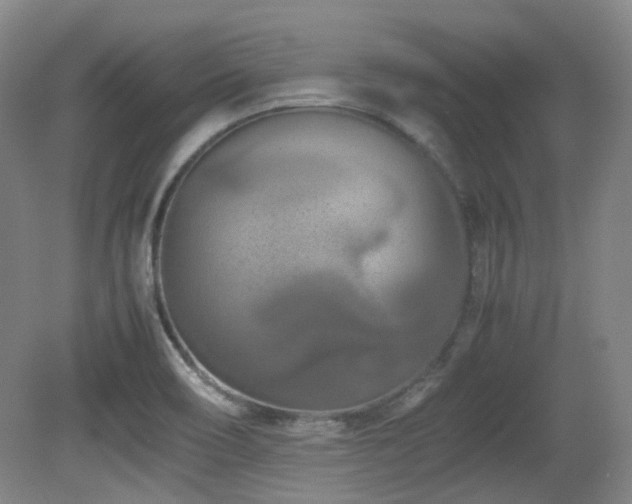 X0000080781466200612151416