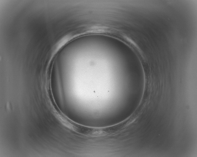 X0000080781467200612151416