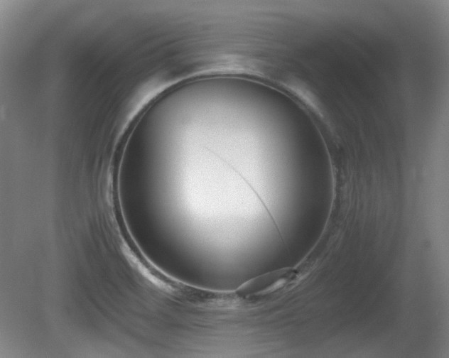 X0000080781468200612151416
