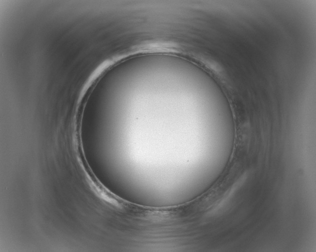 X0000080781470200612151416