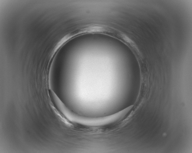 X0000080781473200612151416