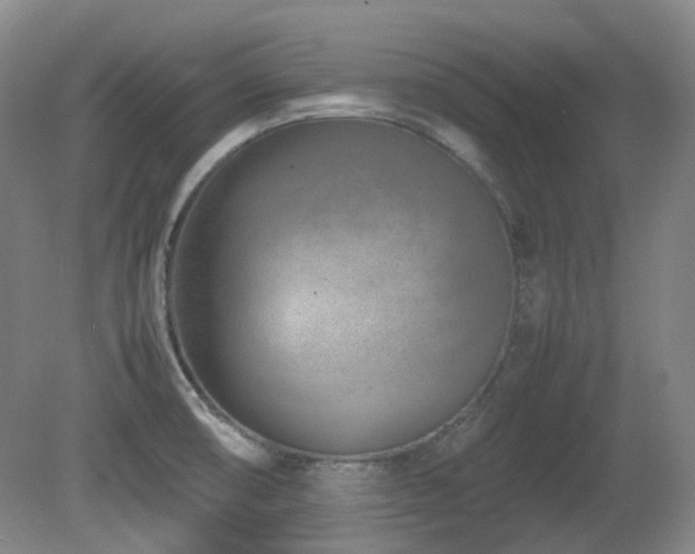X0000080781474200612151416