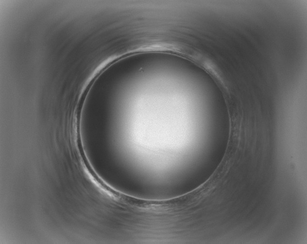 X0000080781476200612151416