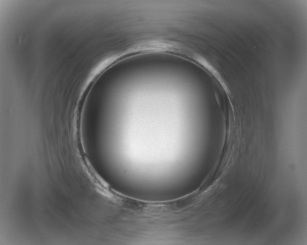 X0000080781477200612151416