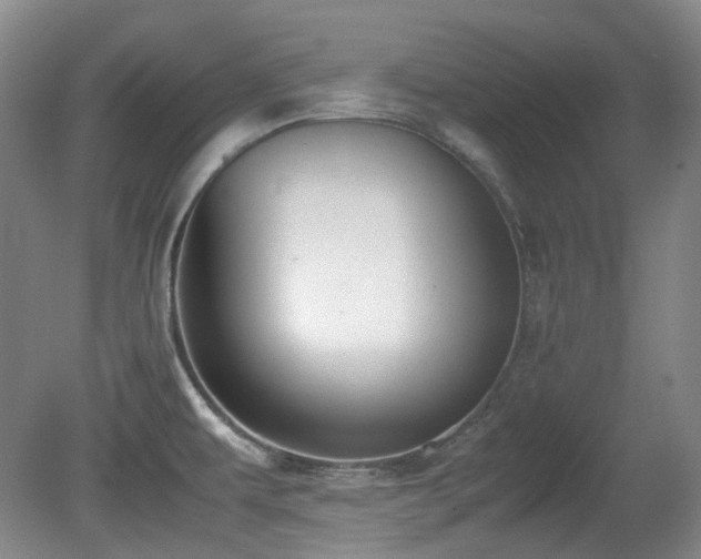 X0000080781479200612151416
