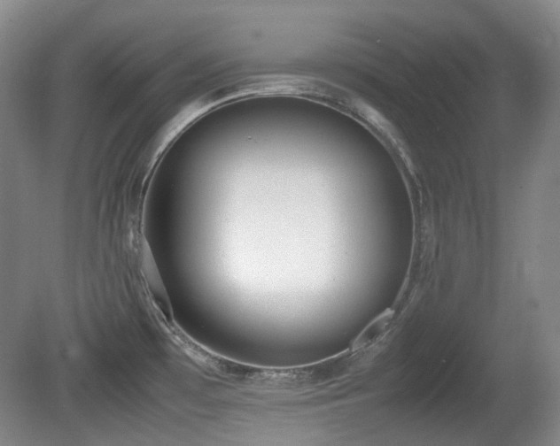 X0000080781481200612151416