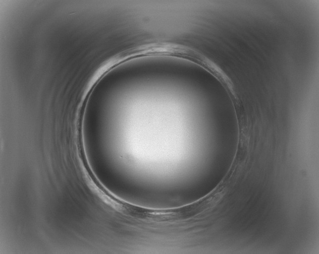 X0000080781483200612151416