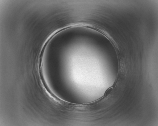 X0000080781484200612151416