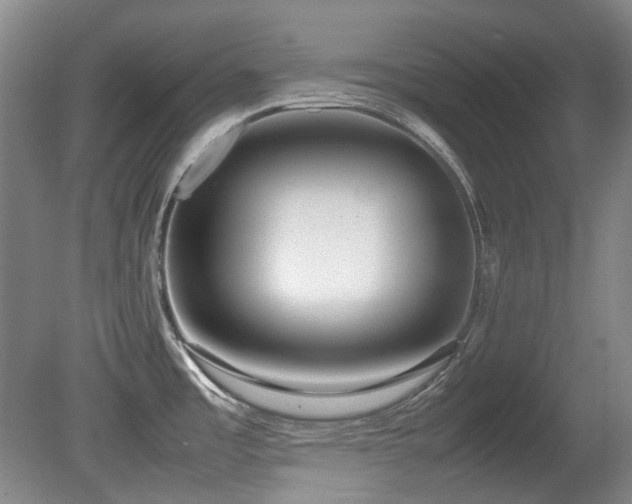 X0000080781485200612151416
