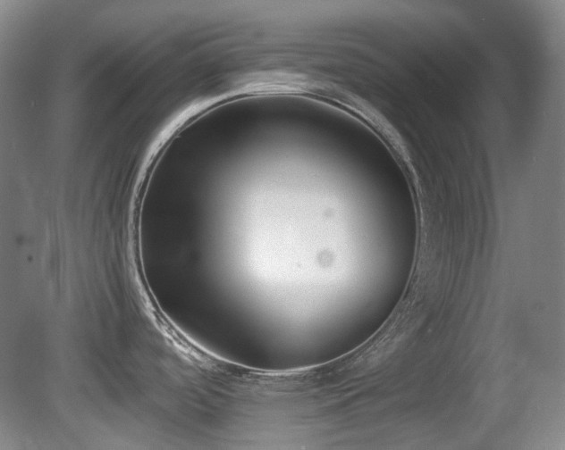 X0000080781488200612151416