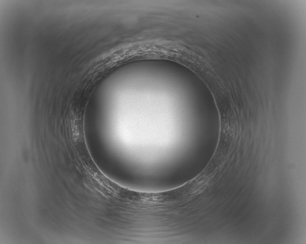 X0000080781490200612151415