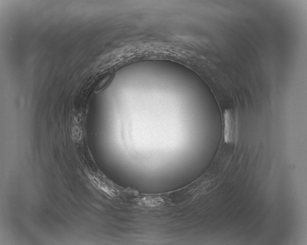 X0000080781491200612151415
