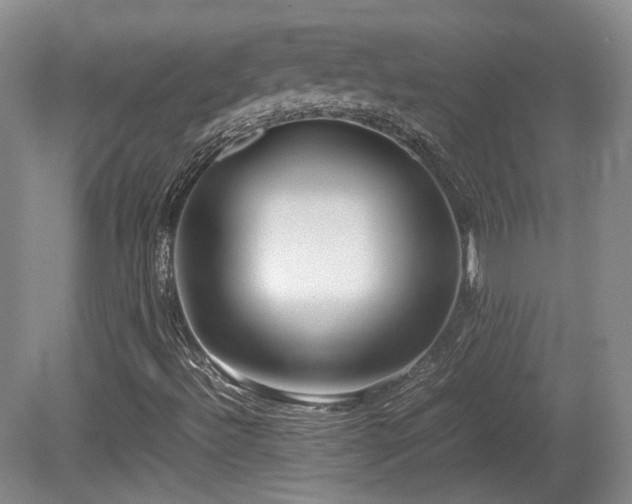 X0000080781492200612151415