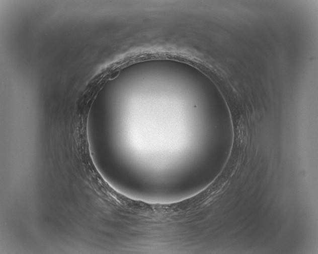 X0000080781494200612151415