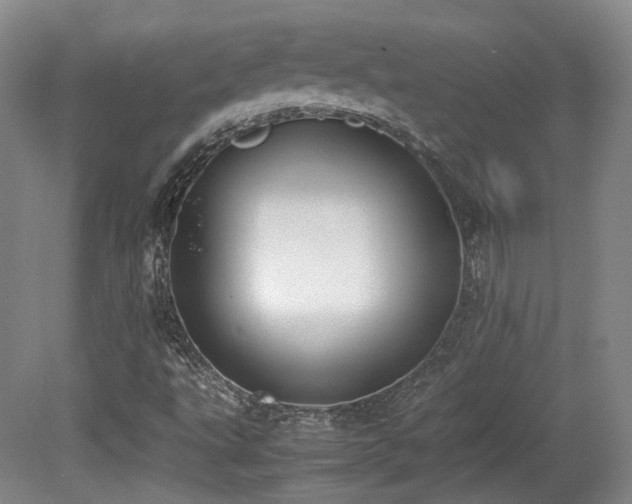 X0000080781495200612151415
