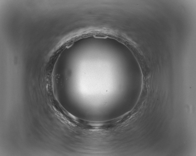 X0000080781496200612151415