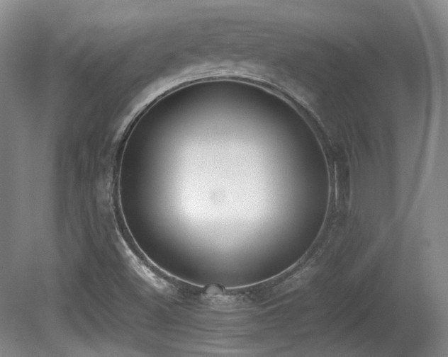 X0000080781500200612151415