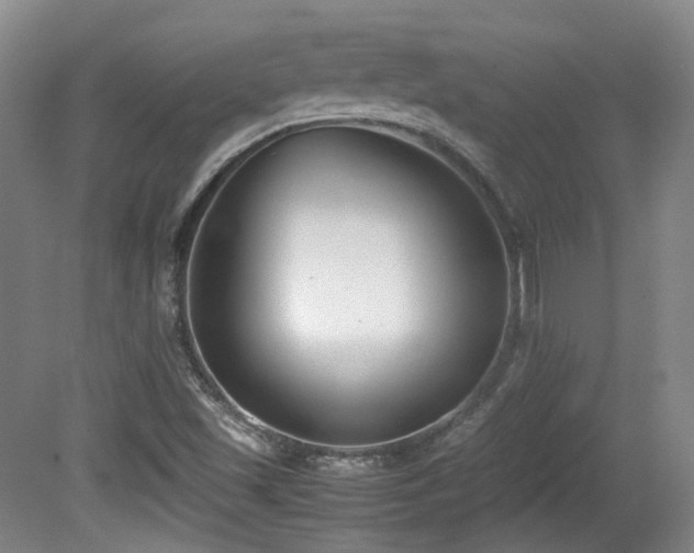 X0000080781501200612151415