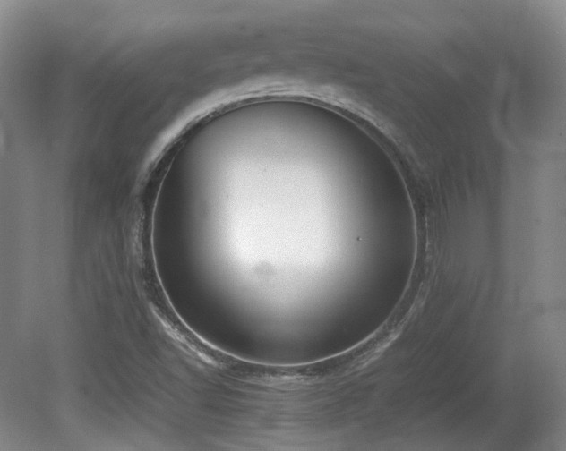 X0000080781502200612151415