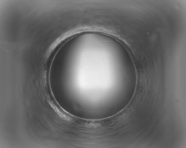 X0000080781503200612151415