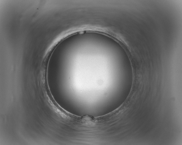X0000080781504200612151415