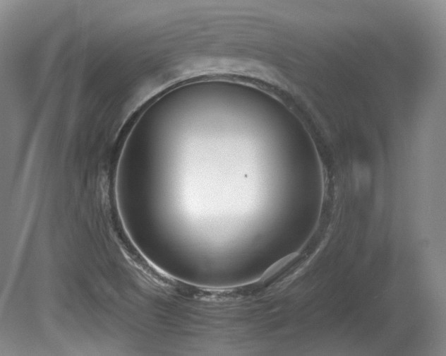 X0000080781505200612151415