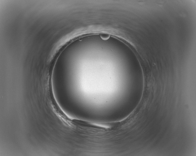 X0000080781507200612151415