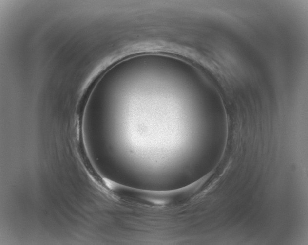 X0000080781509200612151415