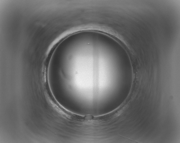 X0000080781510200612151415