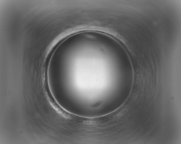 X0000080781511200612151415
